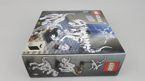 LEGO 21320 Dinosaurier-Fossilien Ideas 12