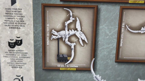 LEGO 21320 Dinosaurier-Fossilien Ideas 4