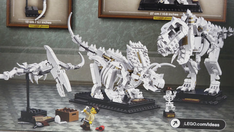 LEGO 21320 Dinosaurier-Fossilien Ideas 6