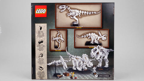 Dinosaurier-Fossilien (21320)