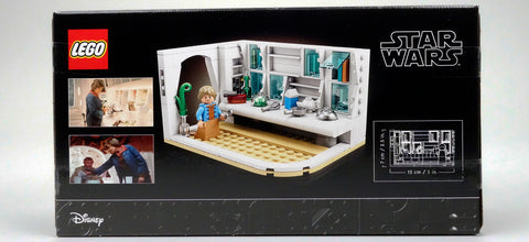 Küche auf der Farm der Familie Lars auf Tatooine (40531)