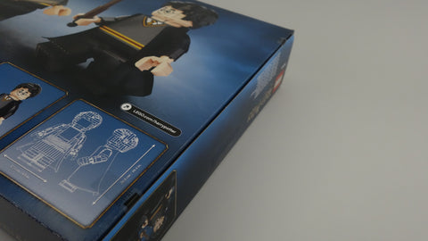 LEGO 76393 Harry Potter™ & Hermine Granger™ Harry Potter 4