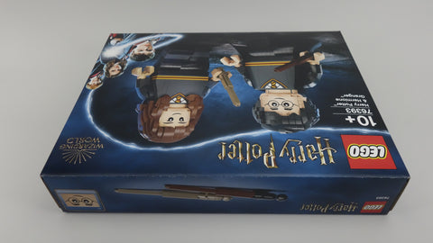 LEGO 76393 Harry Potter™ & Hermine Granger™ Harry Potter 10