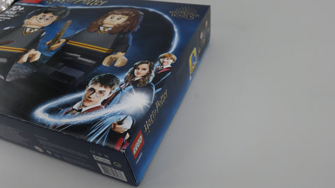 LEGO 76393 Harry Potter™ & Hermine Granger™ Harry Potter 11
