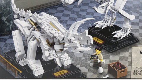 LEGO 21320 Dinosaurier-Fossilien Ideas 7