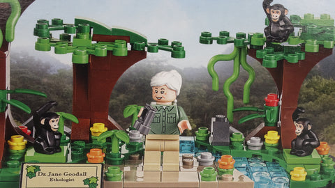 LEGO 40530 Hommage an Jane Goodall GWPs / Verschiedenes 5