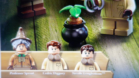 LEGO 76384 Hogwarts Moment: Kräuterkundeunterricht Harry Potter 6