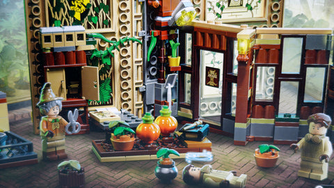 LEGO 76384 Hogwarts Moment: Kräuterkundeunterricht Harry Potter 2
