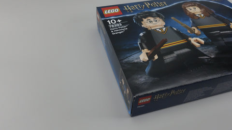 LEGO 76393 Harry Potter™ & Hermine Granger™ Harry Potter 12