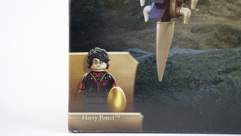 LEGO 76406 Ungarischer Hornschwanz Harry Potter 6